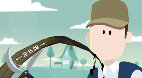 Illustration d’une scène tirée de la vidéo de motion design sur la Brûlure bactérienne des pommiers